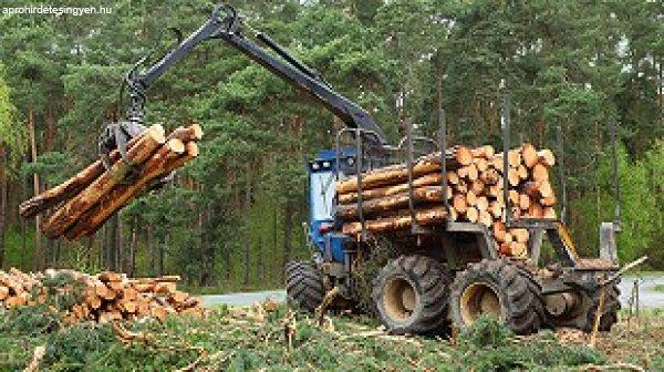 Fakitermelés; vágástól a telepítésig teljeskörű ügyintézésse