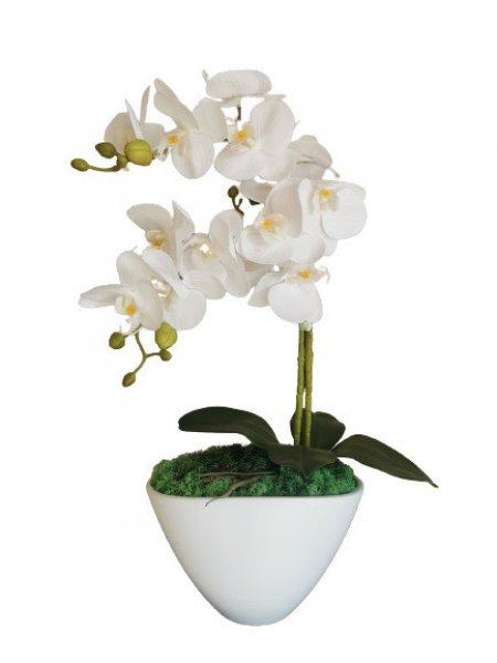 Kerámia kaspós orchidea