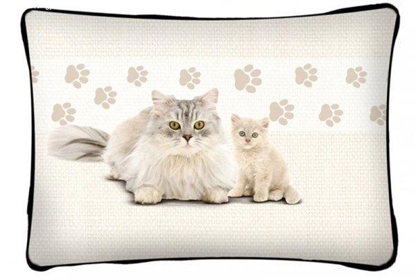 Cicás díszpárna, fehér perzsa macska