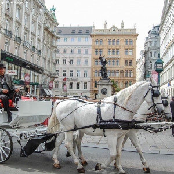 Fedezd fel Bécset!Városnézés & shoppingolás 3 nap 2 éj 2+2 fő reggeli