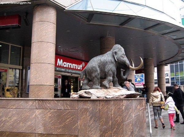 Mammut 1 bevásárló központban üzlethelyiség kiadó!