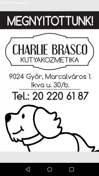 Győr Charlie Brasco Kutyakozmetika