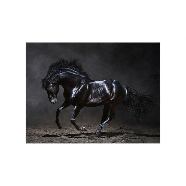 Vászon falikép, fekete ló, 60x150 cm, fekete - VORONOI - Butopêa