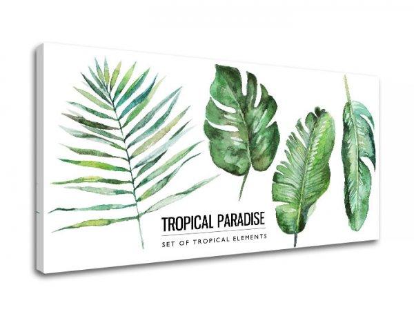 Vászonkép szöveggel Tropical paradise (modern vászonképek)
