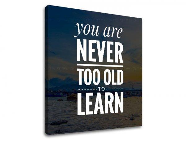 Motivációs vászonképek You are never too old (vászonkép)