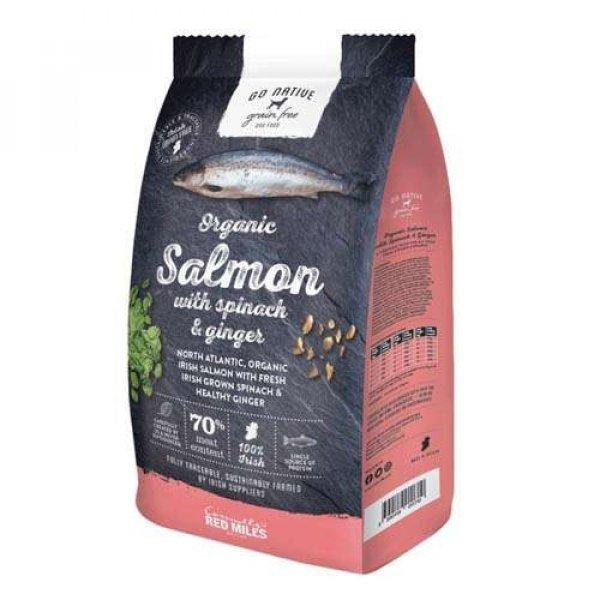 GO NATIVE Salmon with Spinach and Ginger 4kg ultra prémium kutyatáp 70%
hústartalommal