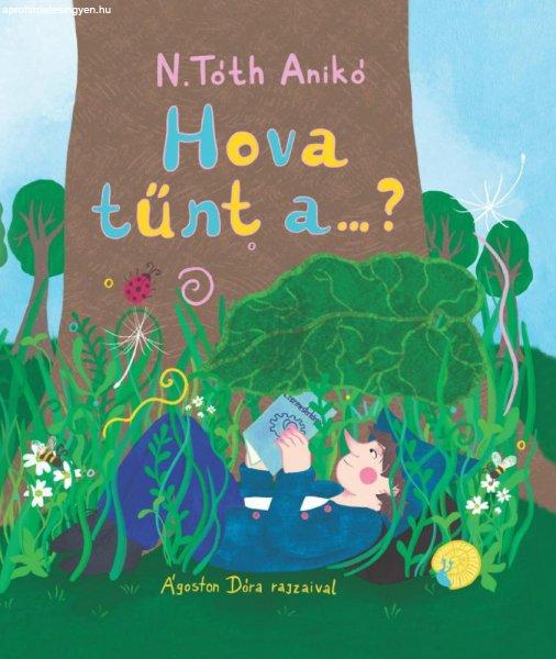 N. Tóth Anikó - Hova tűnt a...?