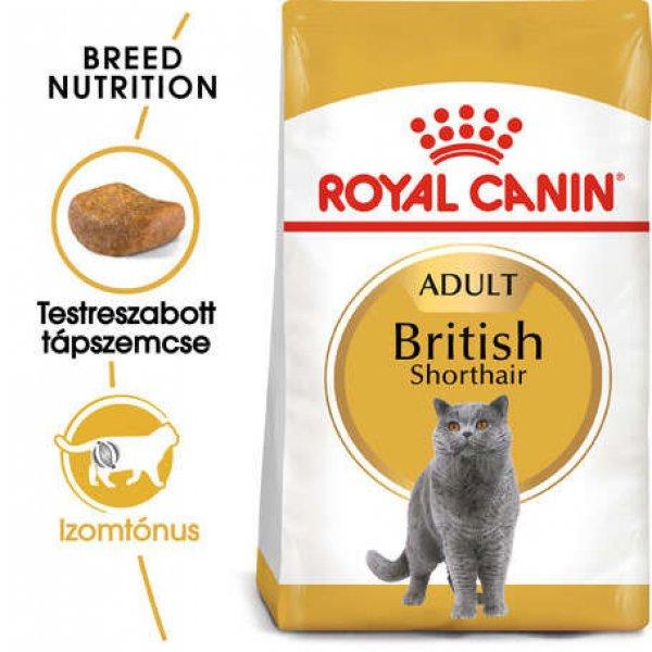 Royal Canin British Shorthair Adult - Brit rövidszőrű felnőtt macska száraz
táp 10 kg