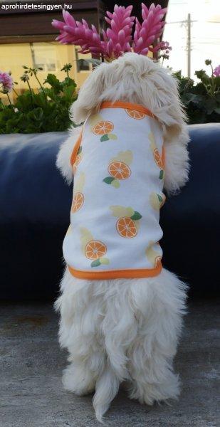 Kutyaruha - Fehér pamut trikó narancs mintával