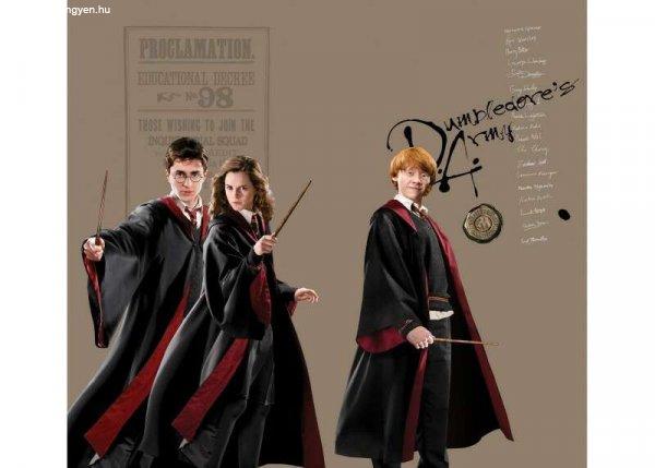 Harry Potter gyerekszoba függöny | 180 cm x 160 cm  - babaszoba faldekoráció