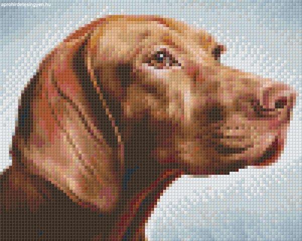 Pixel szett 4 normál alaplappal, színekkel, kutya, vizsla (804466)