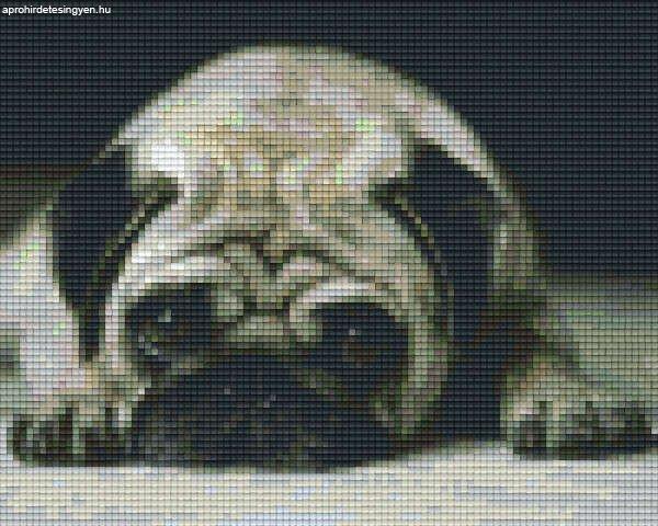 Pixel szett 4 normál alaplappal, színekkel, kutya, bulldog (804224)