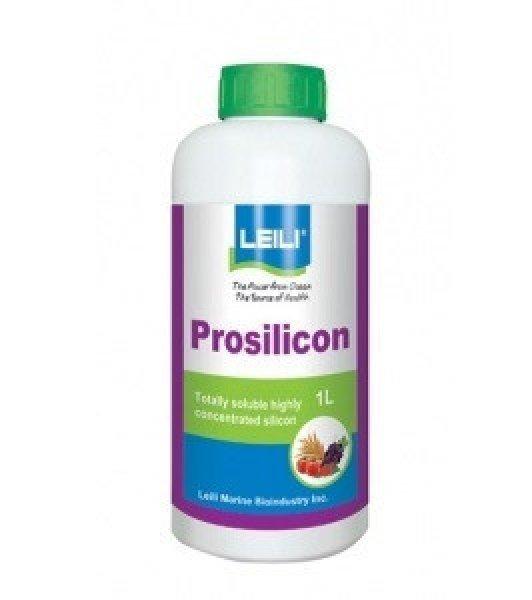 Prosilicon 1/1