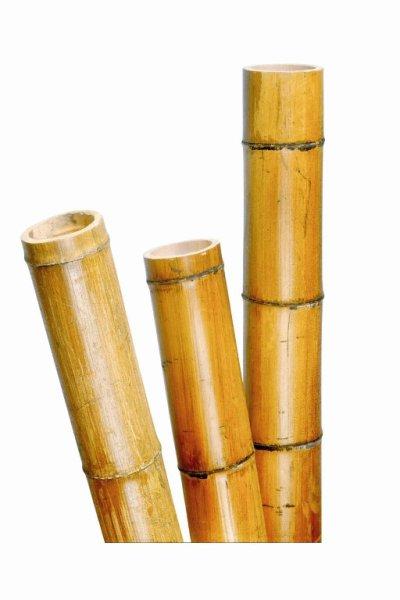 Bambusz növénytámasz vastag 300cm,100/120mm
