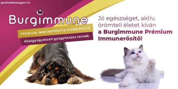 Burgimmune FORTE Prémium Immunerősítő Tabletta - 60 db RAKTÁRON