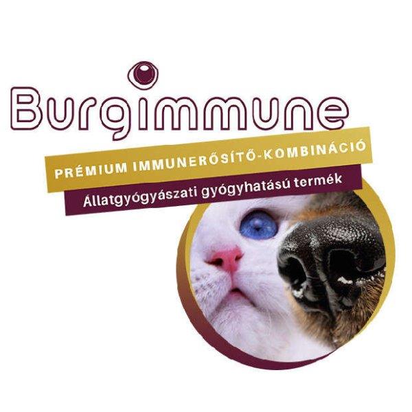 Burgimmune Prémium Immunerősítő Kombináció por - 90 napra elegendő
RAKTÁRON